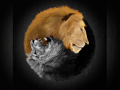 Lions Yin Yang