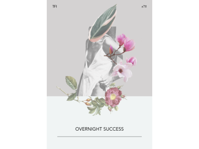 overnight success