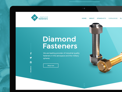 Diamond Fasteners ui ux web design