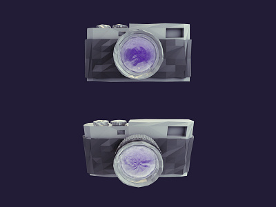Low Poly Camera Icon
