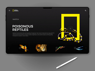 National Geographic landing page concept landing page landing page concept ui ux web website