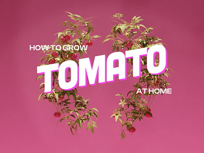 Tomato sneak peek 3d blender branding design ill illustration tomato ui web