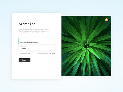 Login Page login ui ux interface