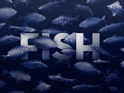 Fish Poster