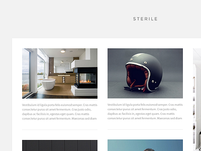 Sterile clean design grid masonry minimal theme tumblr web