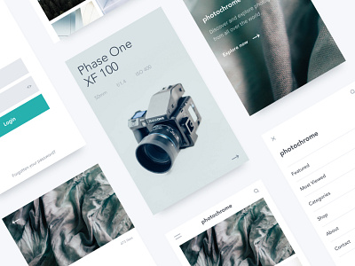 Photography Inspiration App app grid minimal minimalist photography portfolio ui ux web design