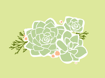 desert foliage botanical floral illustration succulents