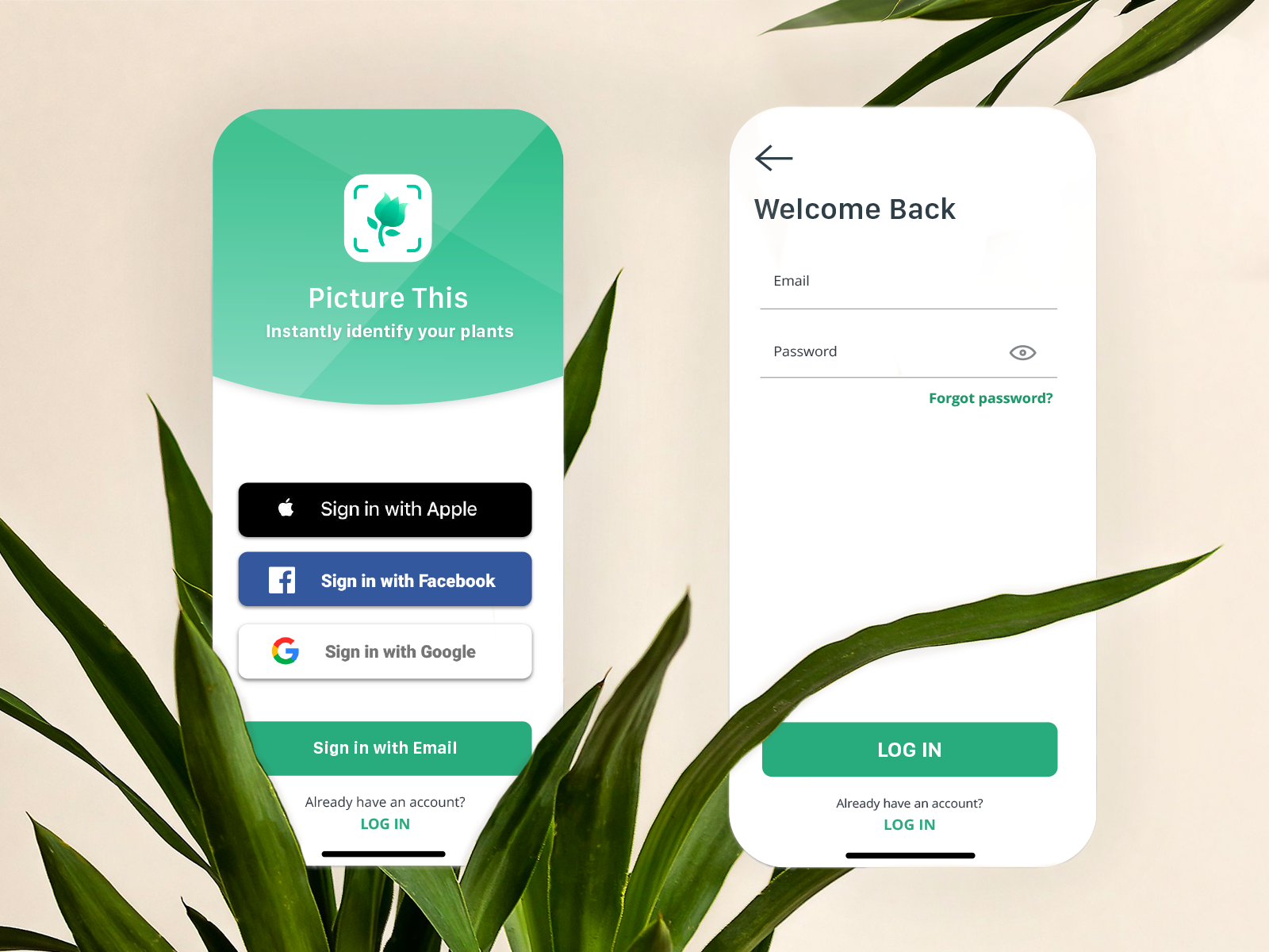 Picture This App by Lily Bather on Dribbble