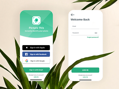 Picture This App ai app artificial intelligence design dribbbleweeklywarmup image recognition login nature photoshop registration retouch sign in sign up signup sketch ui ui design uiux ux weeklywarmup