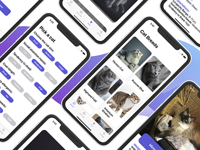 Cat Breeds - iOS app app breed cat design ios swift ui
