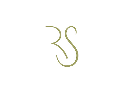 Rina Schiffman art branding design elegant gold identity logo logo design photography rs sophisticated style symbol