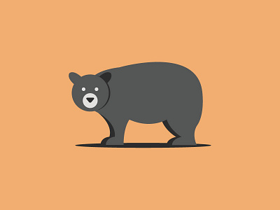 Bear bear illustration vector