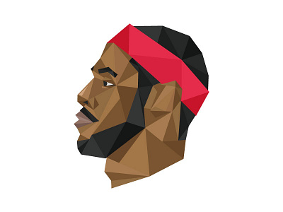 Polybron James basketball geometric lebron james nba polygon