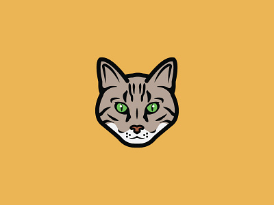 Cat cat illustration