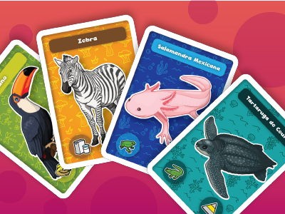 Cardgame Bichos! animals biology cardgame game illustration kids taxonomy