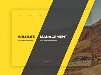 Another one🔥 Wildlife management concept page minimalism nature shapes web website wildlife