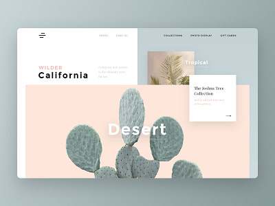 Wilder California california desert inspiration landing page pastel tropical ui webdesign