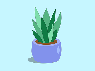 Succulent 100daysofcmbos 100daysofillustration 100daysproject creativemornings illustration plants succulent