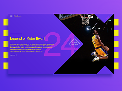 37 Practice ball basketball color kobe typesetting web
