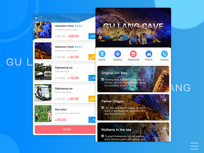 Travel App application blue design experience ios mobile native ticket travel ui user ux