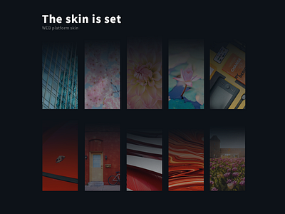 skin branding design flat illustration ui ux