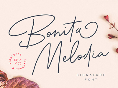 Bonita Melodia Script elegant font handwritten modern romantic script signature type typography wedding