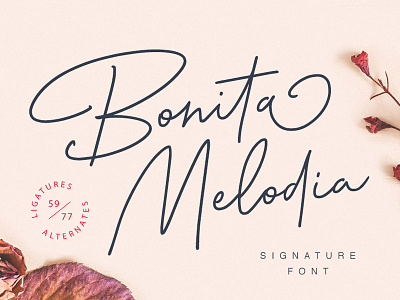 Bonita Melodia Script