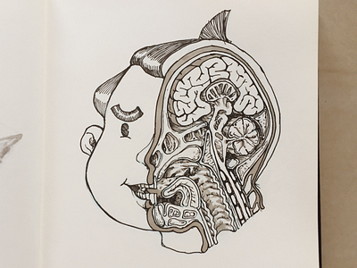 Half head anatomy dissection head illustration inktober sketch sumo