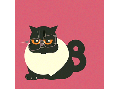 Cat Nerd after effects animal animation cat content cute illustration illustrator instagram smart social content social media vector website