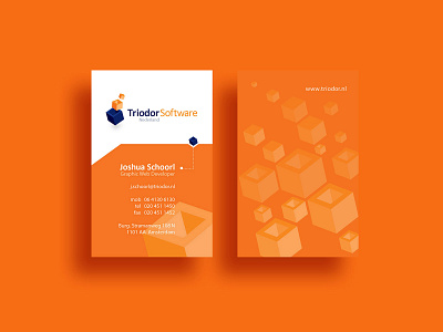 Design Archive Joshua Schoorl 2006 . Triodor Software branding branding design identity design illustration logo software vector