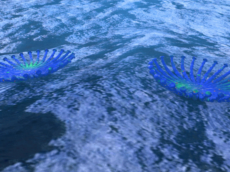 Deep Sea Creatures 3d animated cinema4d creatures ocean sea water