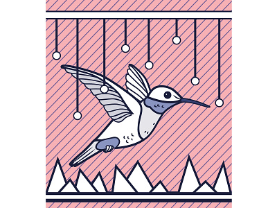 Hummingbird illustration vector