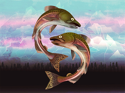 Pink Salmon of Alaska design illustration illustrator photoshop salmon vector