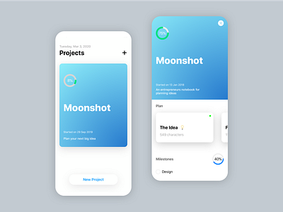 Moonshot - Store and execute your next big idea