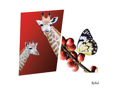 Coffee Safari bean butterfly coffee giraffe