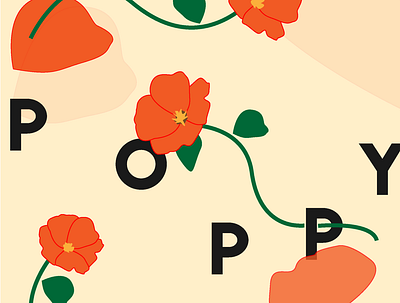 Poppy Exploration floral illustration poppy typography