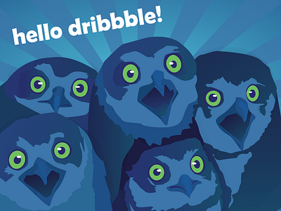 hello! debut owls
