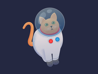 Space Cat