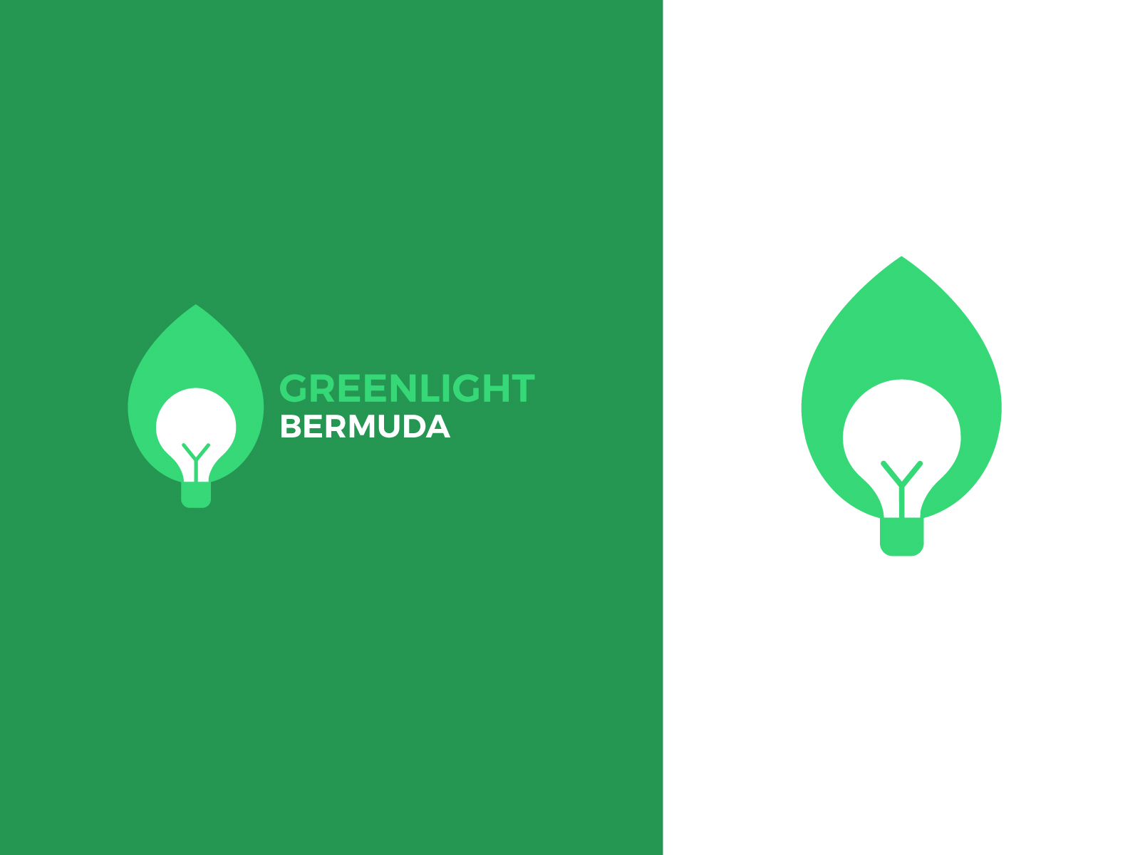 Green Energy Company Logo By Leonardo Ramirez On Dribbble