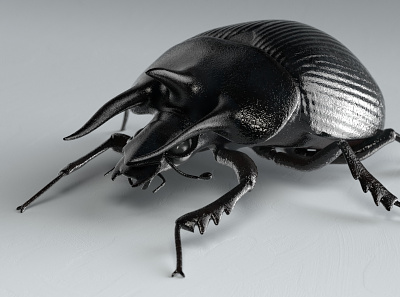 Typhaeus typhoeus 3d ar beetle bug c4d cinema4d game insect insects redshift3d unity3d