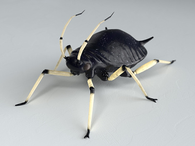 Black bean aphid 3d 3d model bug creature creepy design game illustration insect low poly unity