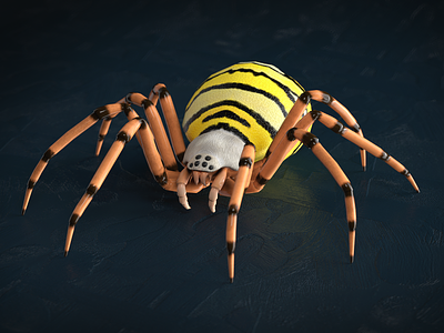 Wasp Spider 3d animation c4d cinema4d illustration insect low poly redshift redshift3d spider