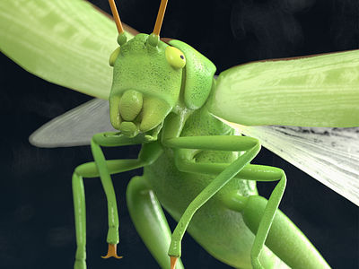 Great green bush cricket 3d animal animation ar c4d character cinema4d cricket game grasshopper illustration insect low poly redshift3d unity