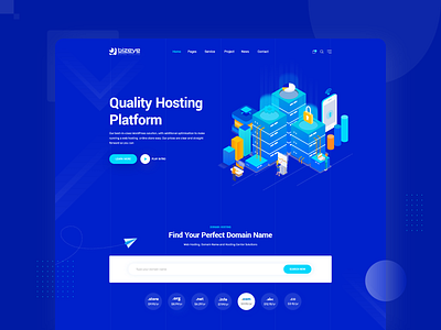 Bizeye Hosting UI Design