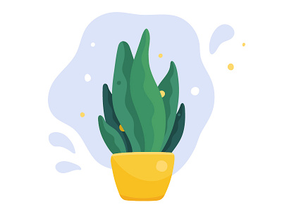 Potted plant