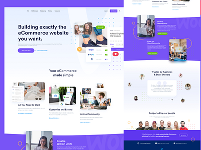 Ecommerce SaaS landing page