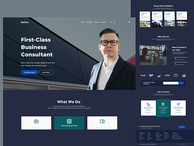 Beline-business consultant landing page