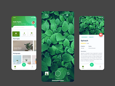 Plant care app case study case study clean design mobile app ui ux user designer user interface user researcher ux designer website