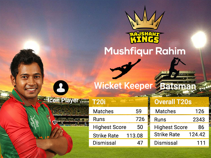 Cricket player Stat Infographic by Hasibur Rahman on Dribbble