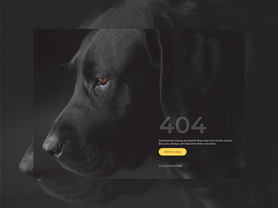 404 Page Adoption 404 community design landing page oops